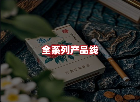 专业团队